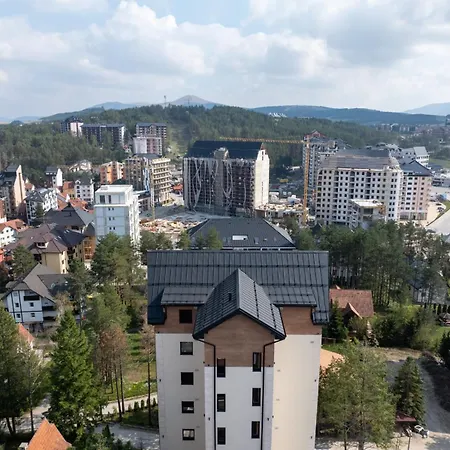 Pino Silvestre 19 Zlatibor